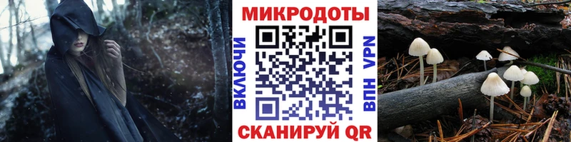 omg ТОР Зубцов Галлюциногенные грибы Psilocybe