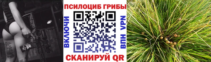 Галлюциногенные грибы прущие грибы Зубцов